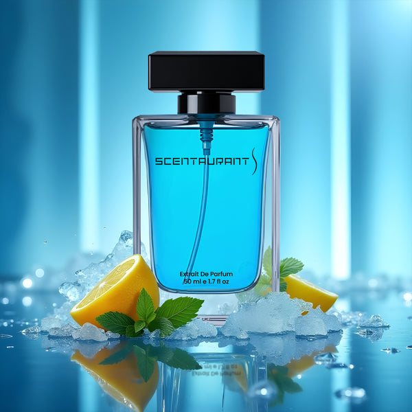 YSL Y